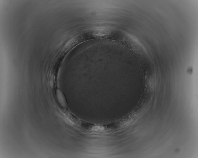 X0000097490227200802221422