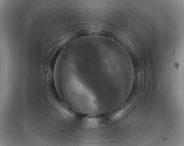 X0000097490228200802221422