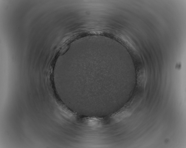 X0000097490229200802221422