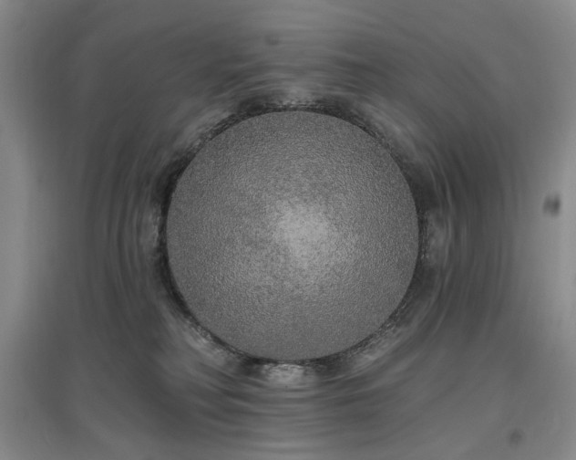 X0000097490230200802221422