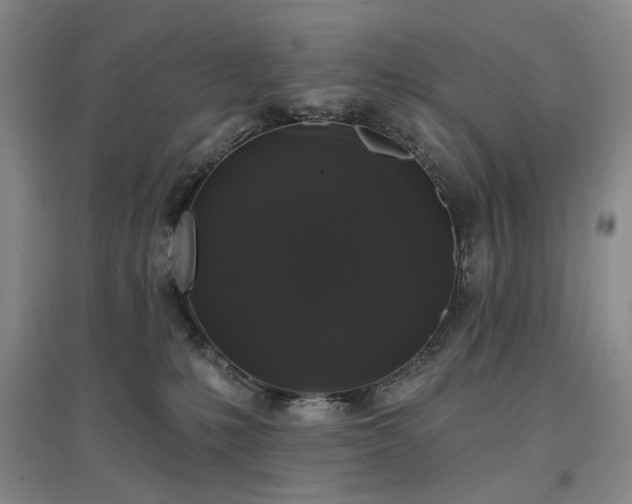 X0000097490231200802221422