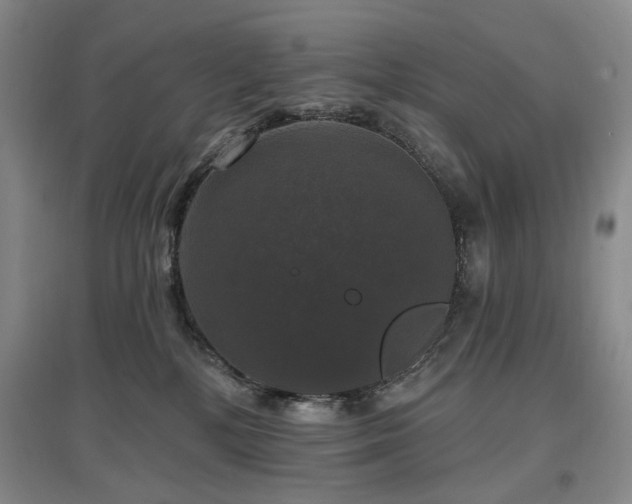 X0000097490232200802221422