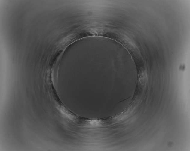 X0000097490233200802221422