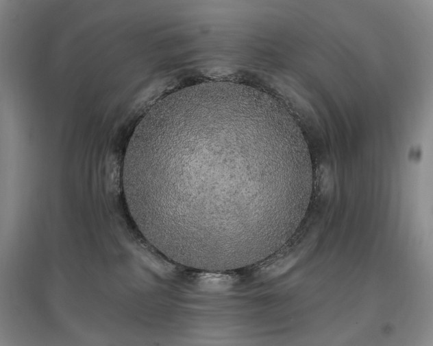 X0000097490234200802221422