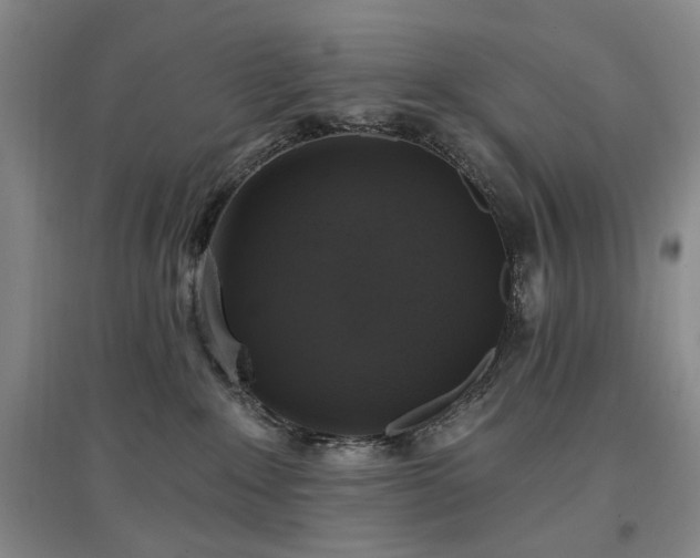 X0000097490235200802221422