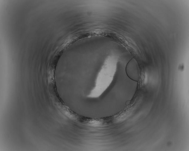 X0000097490236200802221422