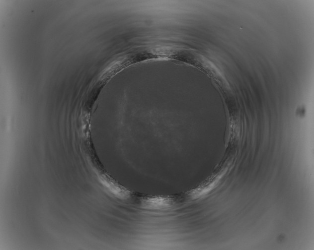 X0000097490237200802221422