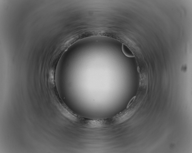 X0000097490238200802221422