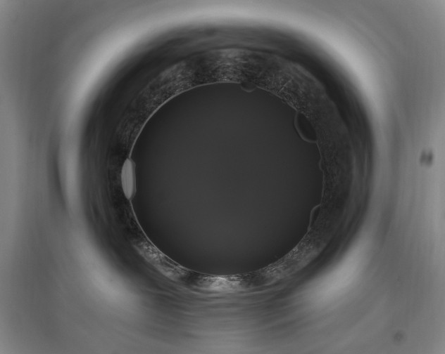 X0000097490239200802221422