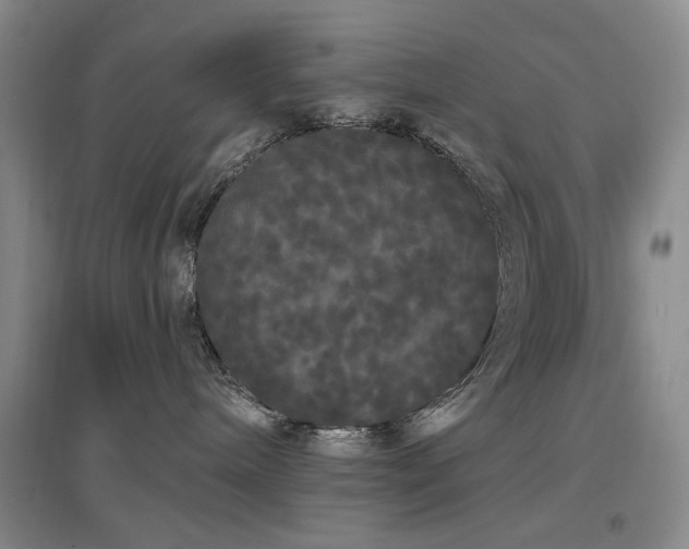 X0000097490240200802221422