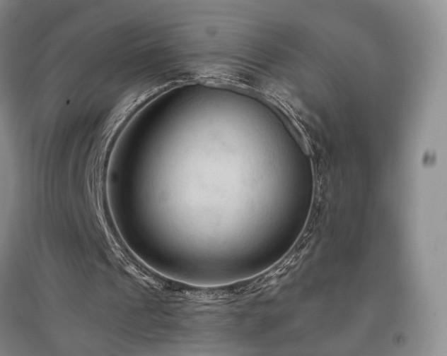 X0000097490241200802221421