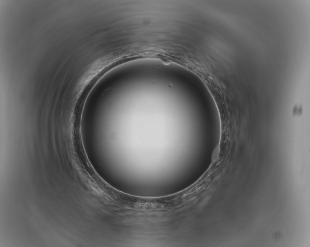 X0000097490242200802221421