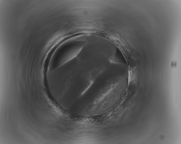 X0000097490243200802221421