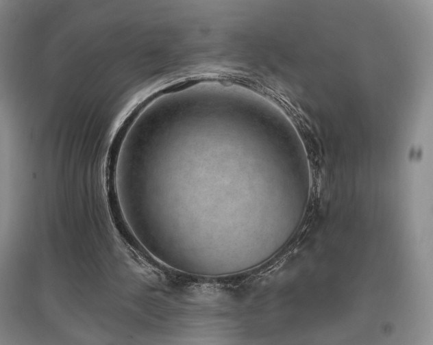 X0000097490244200802221421