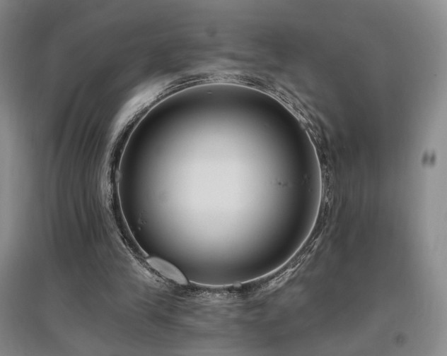 X0000097490245200802221421