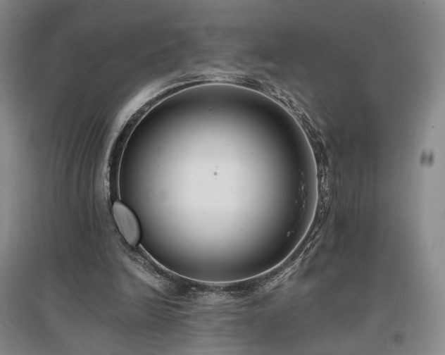 X0000097490246200802221421