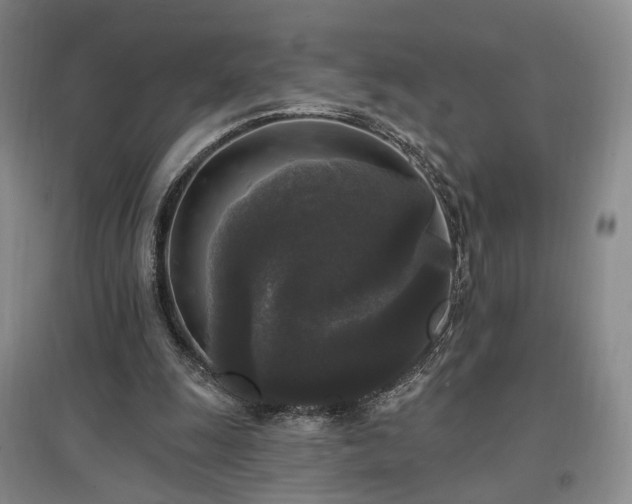 X0000097490247200802221421