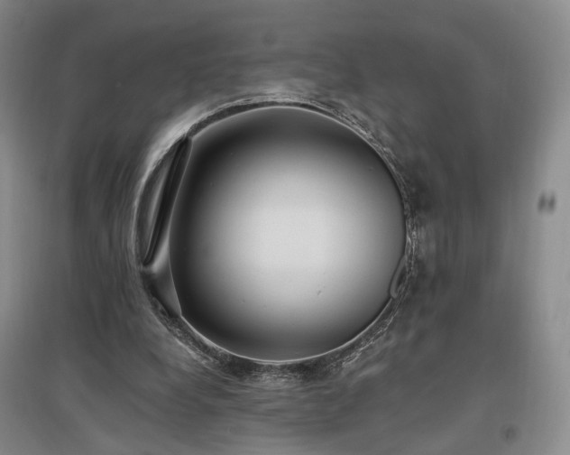 X0000097490248200802221421