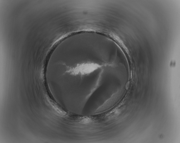 X0000097490249200802221421