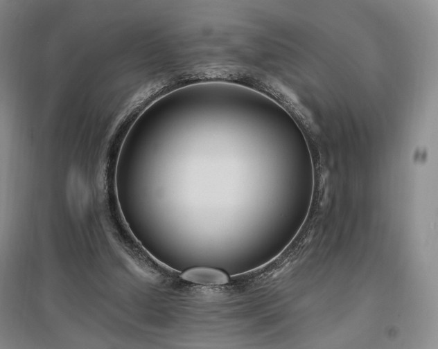 X0000097490250200802221422