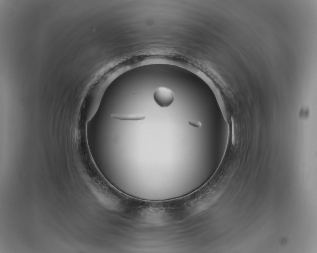 X0000097490252200802221422