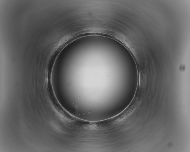 X0000097490253200802221422