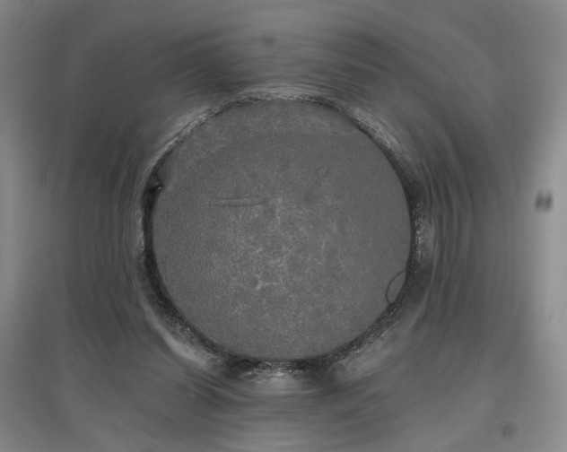 X0000097490254200802221422