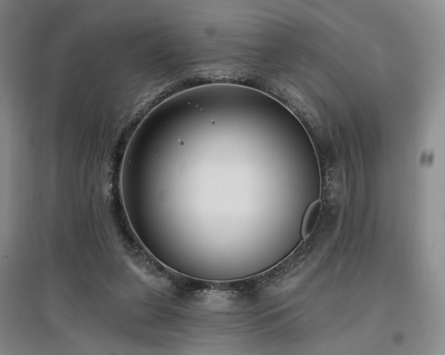 X0000097490255200802221422