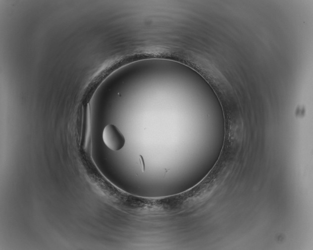 X0000097490256200802221422