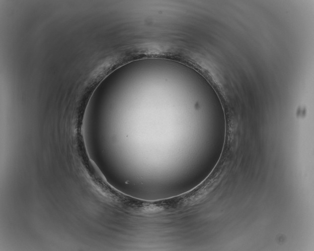 X0000097490257200802221422