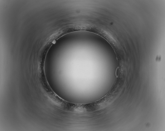 X0000097490258200802221422