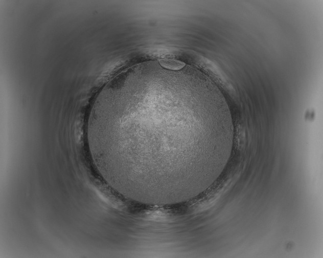 X0000097490259200802221422