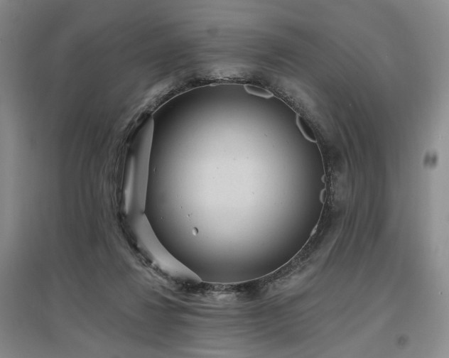 X0000097490260200802221422