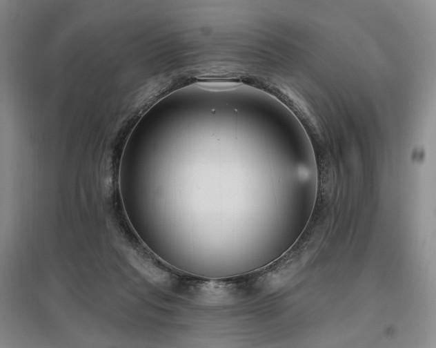 X0000097490261200802221422