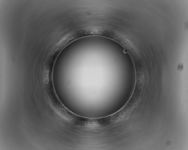 X0000097490262200802221422