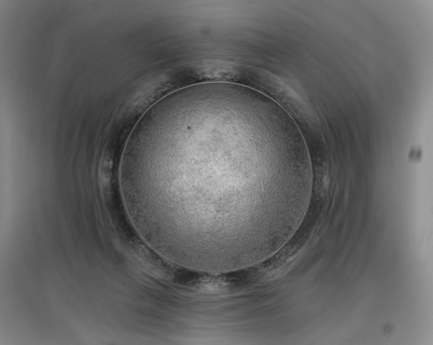 X0000097490263200802221422