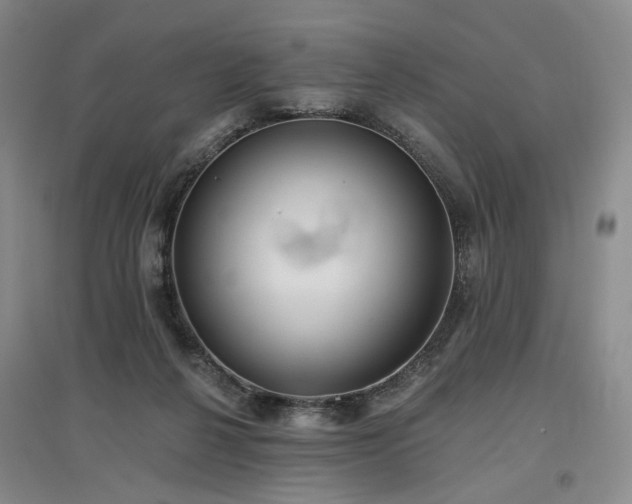 X0000097490264200802221422