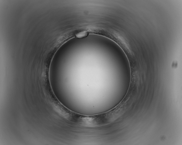 X0000097490265200802221422