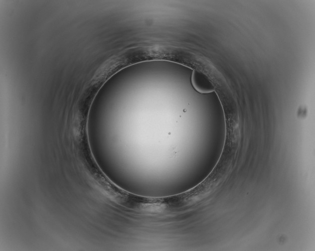 X0000097490266200802221422