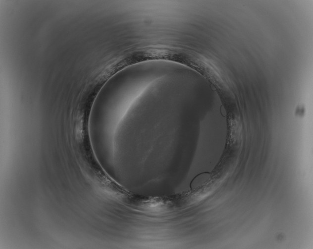 X0000097490267200802221422