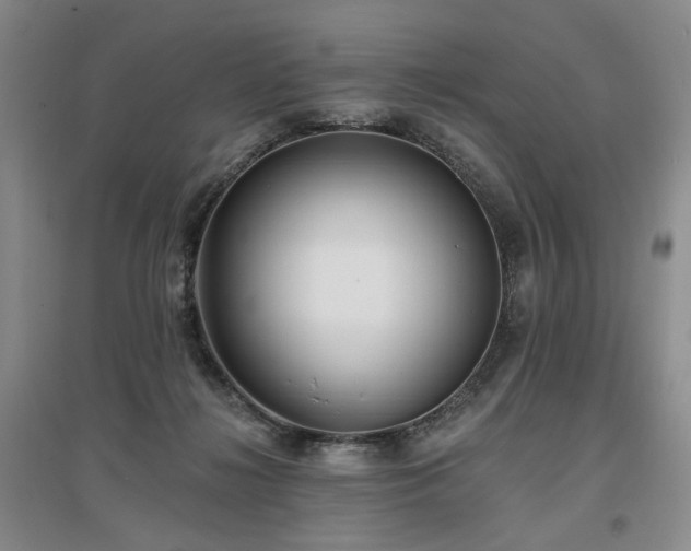 X0000097490268200802221422