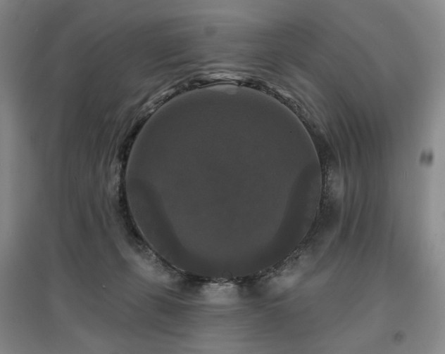 X0000097490271200802221422