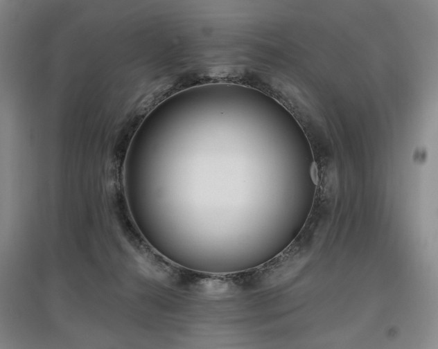 X0000097490272200802221422