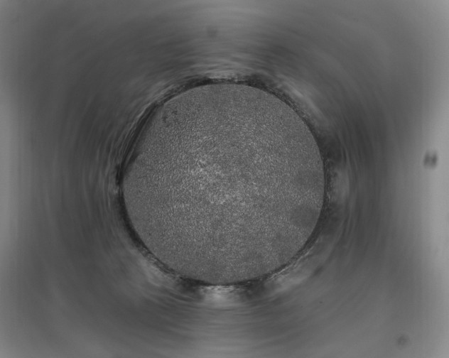 X0000097490273200802221422