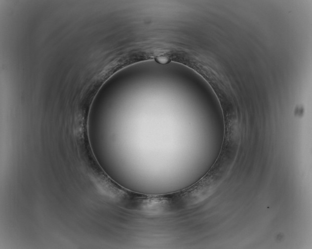 X0000097490274200802221422