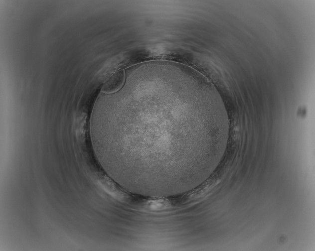 X0000097490275200802221422