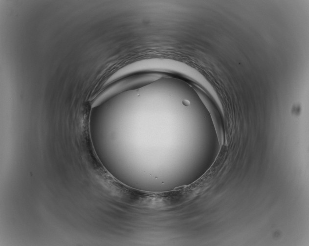 X0000097490276200802221422