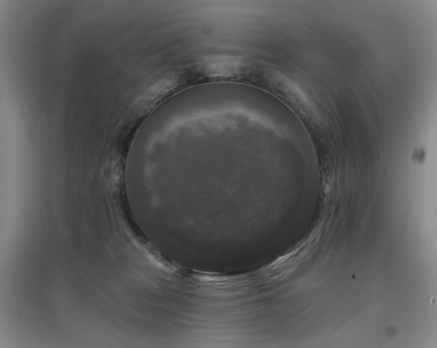 X0000097490277200802221422