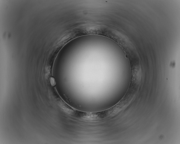 X0000097490278200802221422