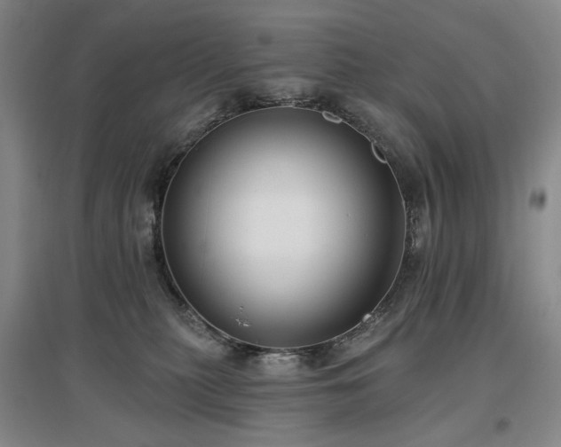 X0000097490279200802221422